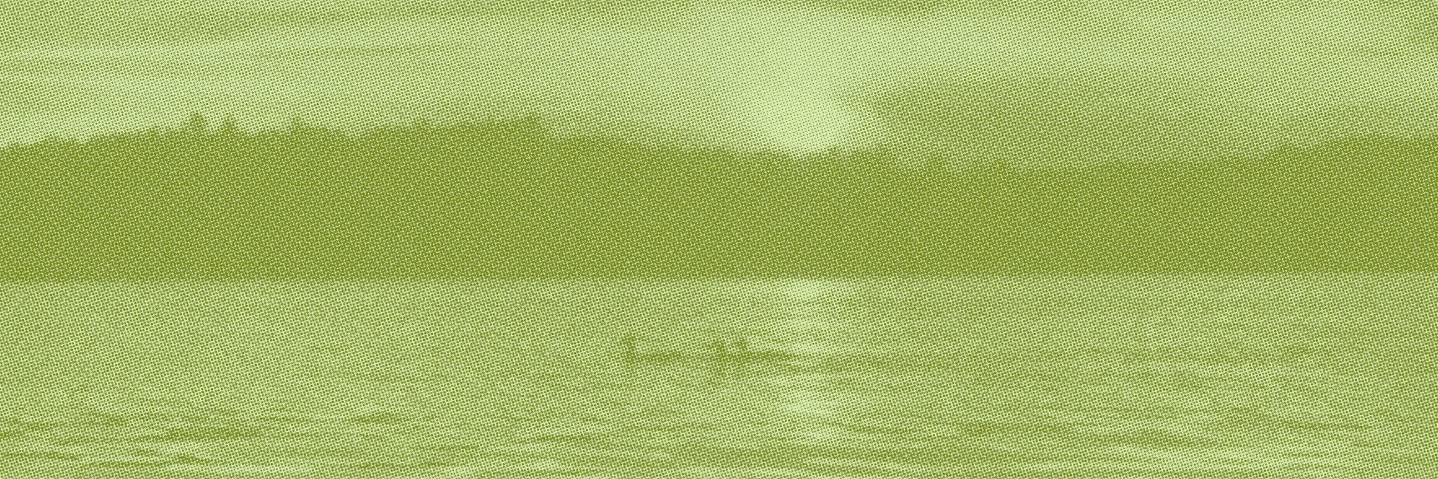 Marketing a Minnesota Dispensary in Year 1. No Ads Required.