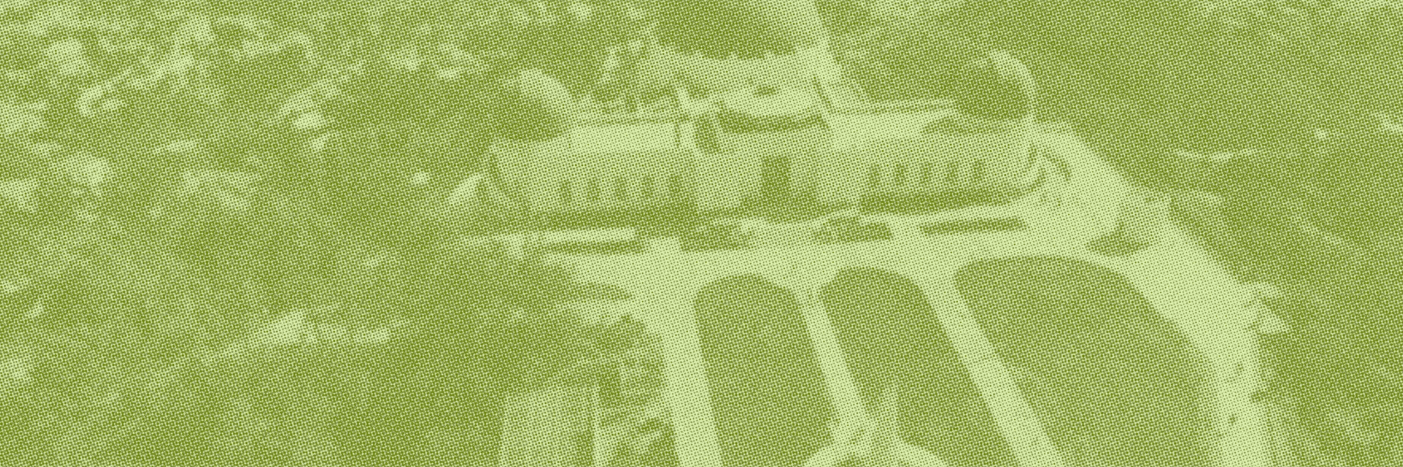 California Cannabis Marketing: Complete Guide 2025