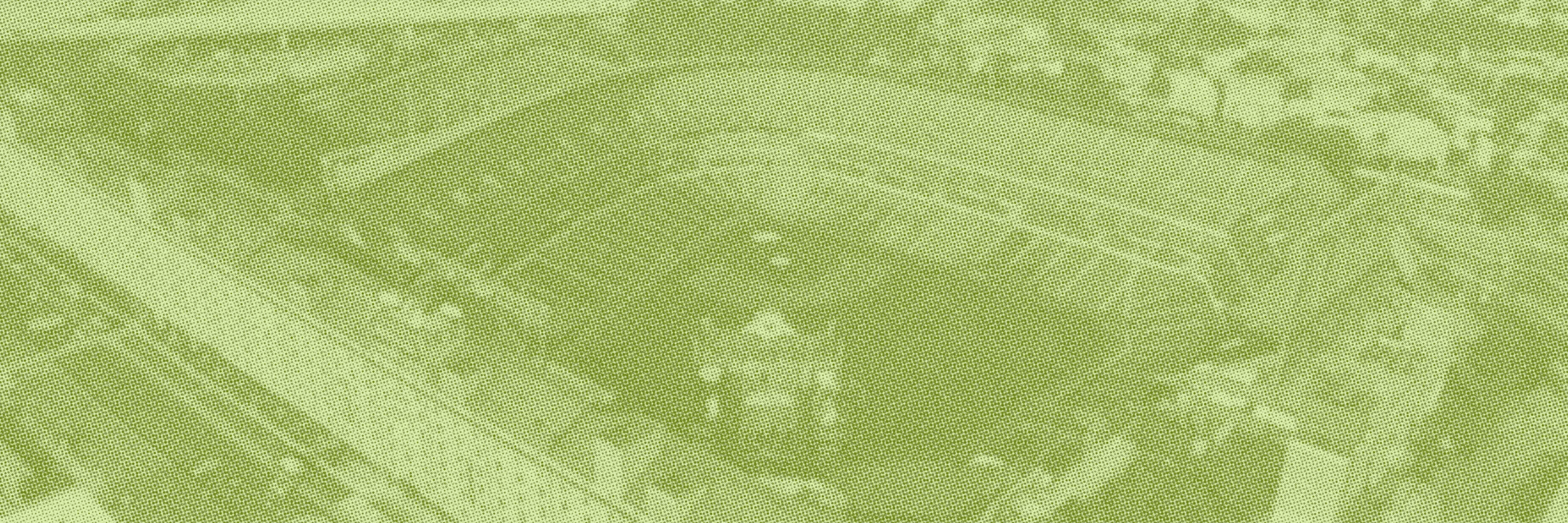 Maryland's $1B+ Cannabis Market is Growing. Market & Win It.