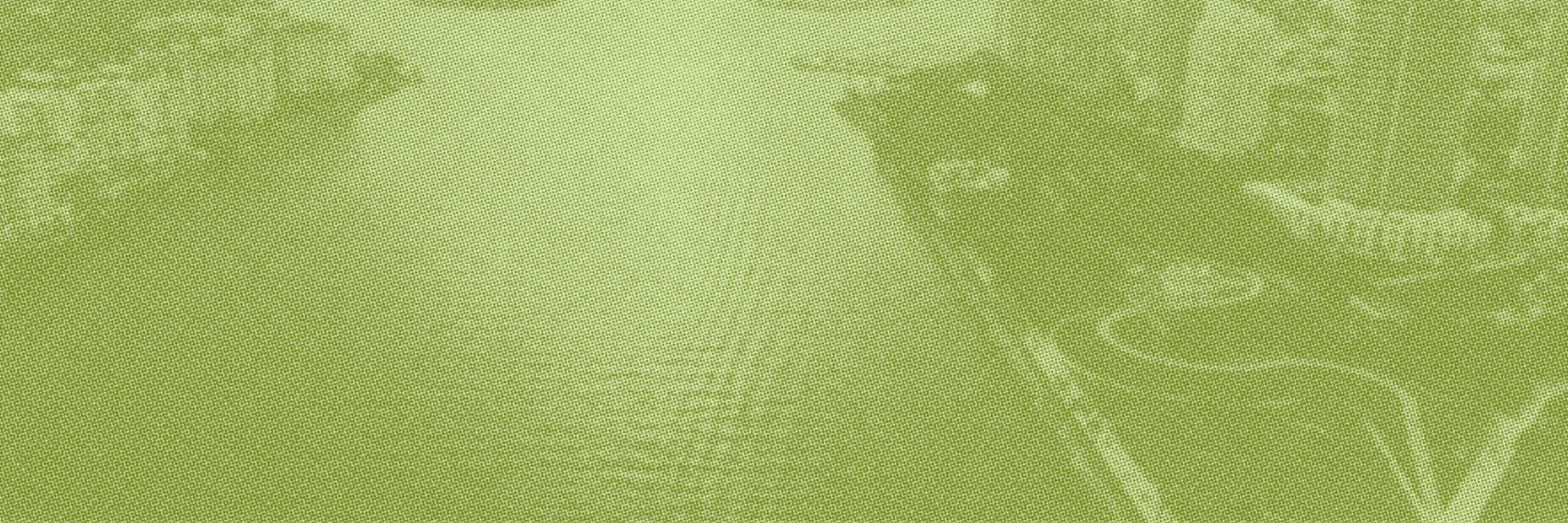 Florida Cannabis Marketing Guide: MMTC Success