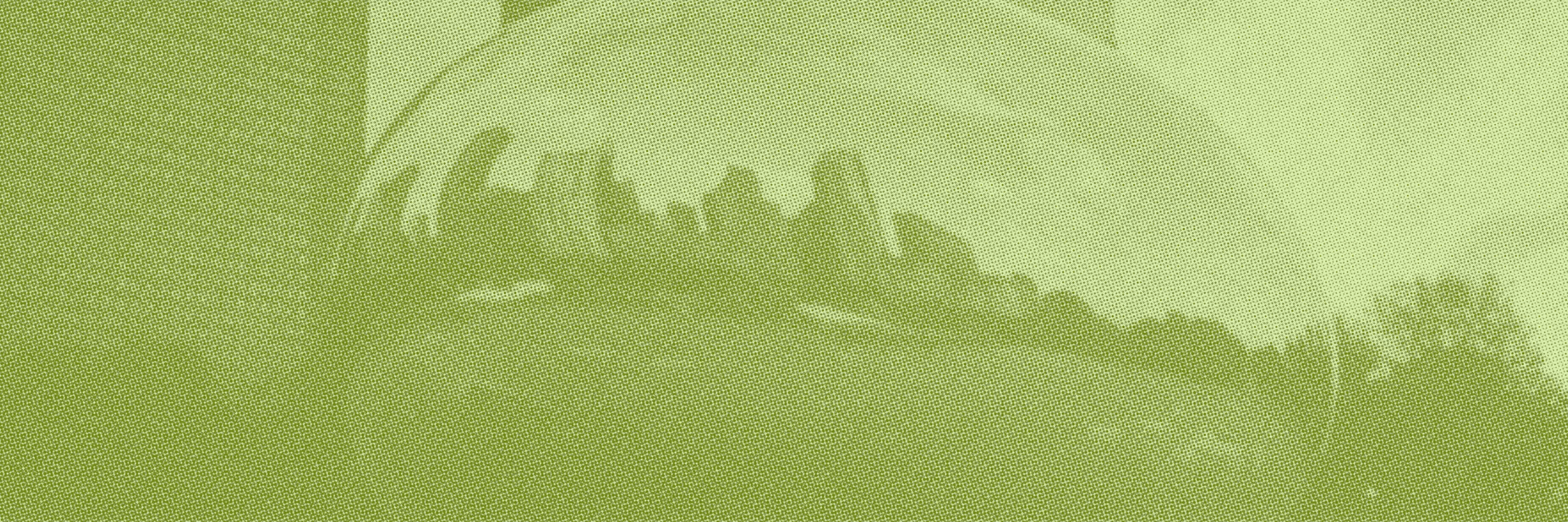 How to Market Your Dispensary in Illinois' $1.5 Billion Cannabis Market